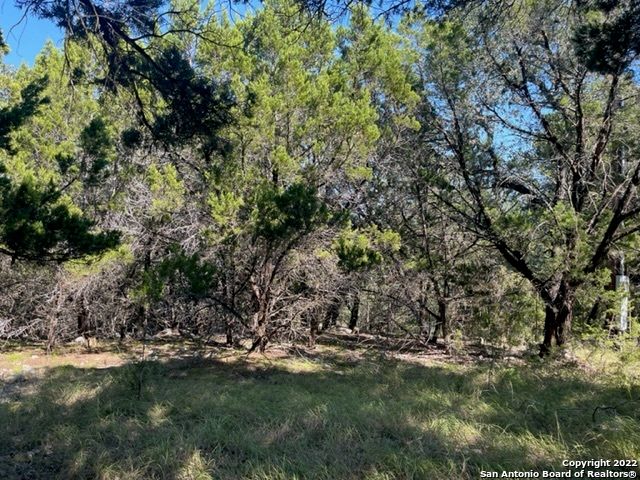 420 Spring St, Spring Branch, TX 78070