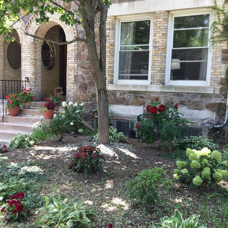 318 Tappan Street 3, Brookline, MA 02445