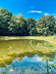 314 County Road 955, Valley Head, AL 35989