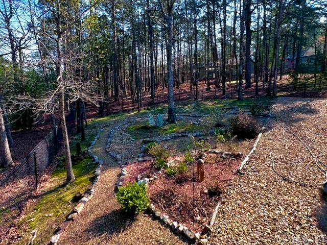2 Balenciaga Way, Hot Springs Village, AR 71909
