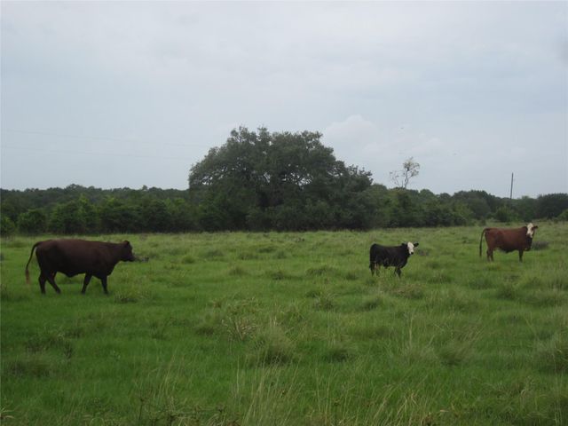 3671 W Fm 1093 Road, Wallis, TX 77485