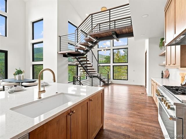 31334 Forest Shadow Trail, Conifer, CO 80433
