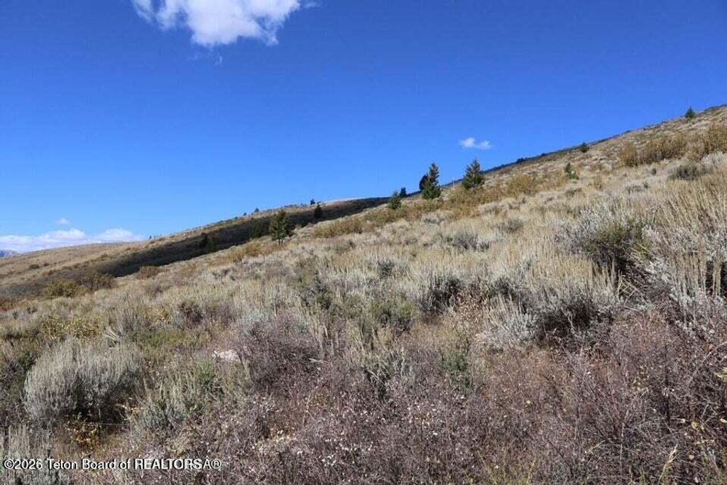 405 W SADDLE BUTTE Drive, Jackson, WY 83001 photo 13