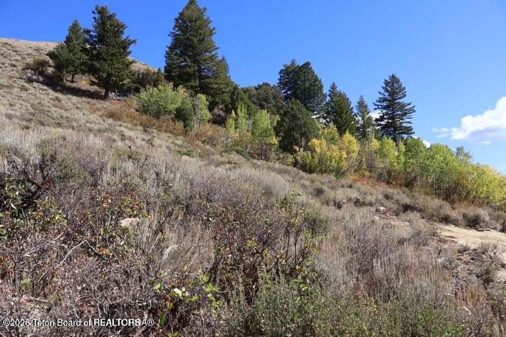 405 W SADDLE BUTTE Drive, Jackson, WY 83001 photo 14