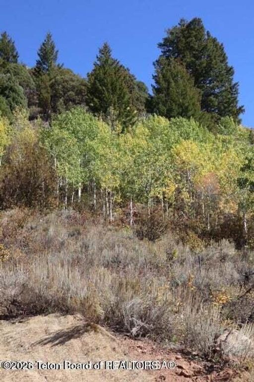 405 W SADDLE BUTTE Drive, Jackson, WY 83001 photo 18