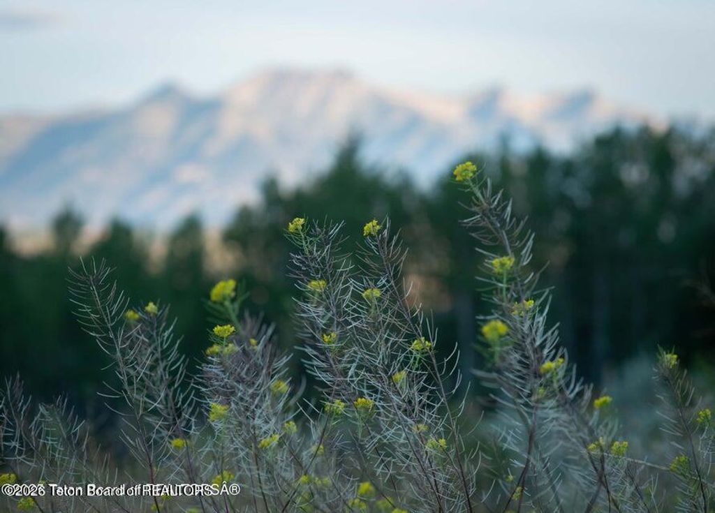 405 W SADDLE BUTTE Drive, Jackson, WY 83001 photo 23