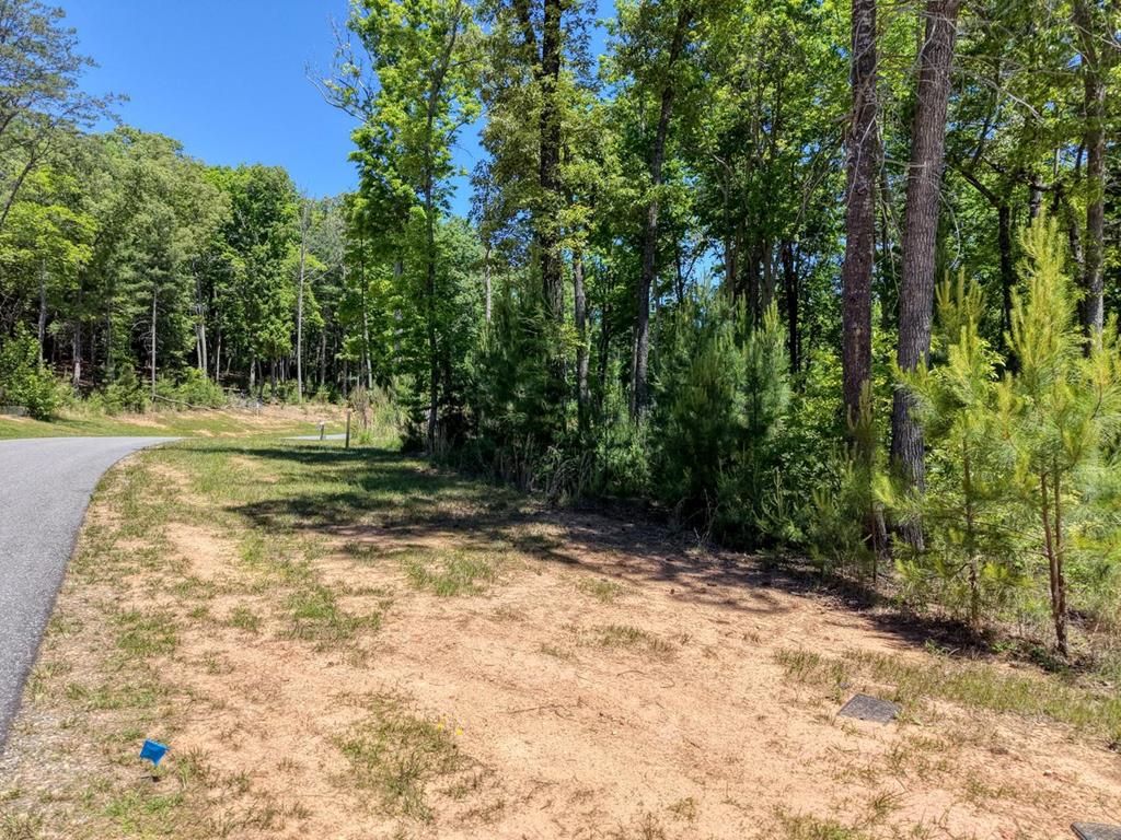 Lot 165 Highland Park, Blairsville, GA 30512