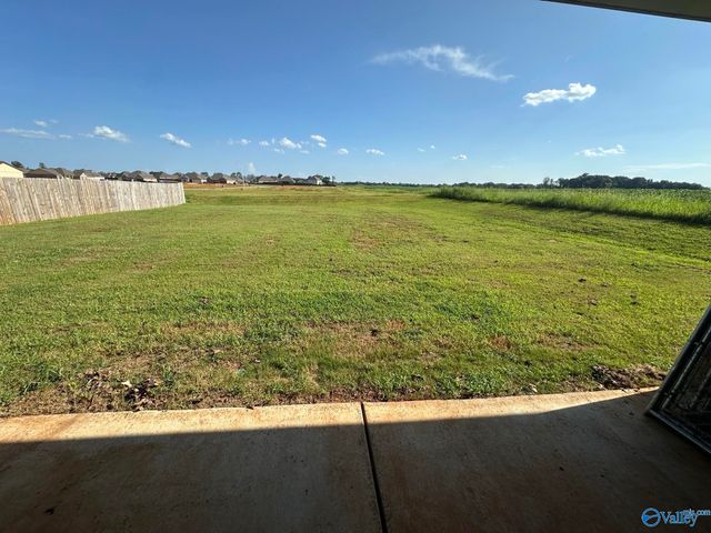 156 Arctic Fox Trail, Meridianville, AL 35759