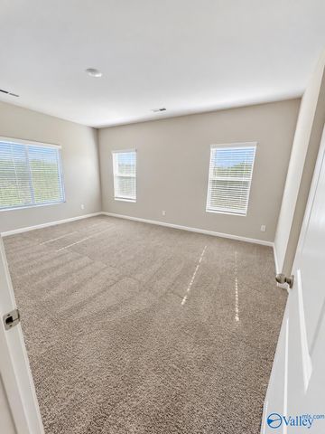 156 Arctic Fox Trail, Meridianville, AL 35759