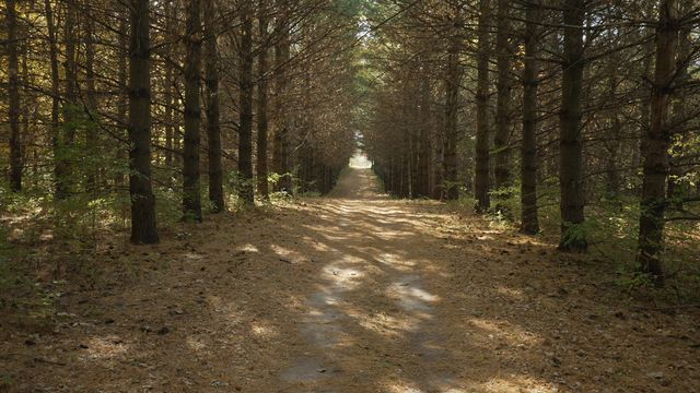 Address unavailable.