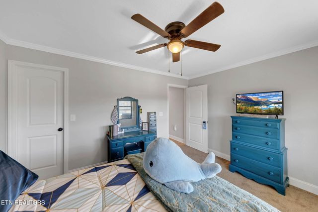 1227 Holston Shores Drive Drive, Rutledge, TN 37861