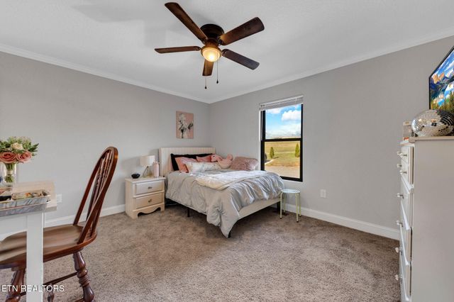 1227 Holston Shores Drive Drive, Rutledge, TN 37861