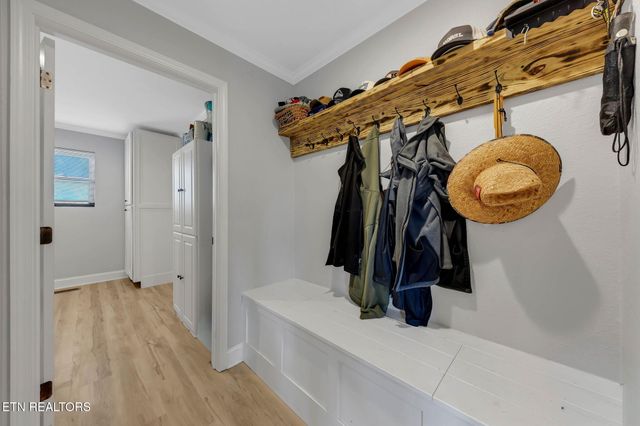 1227 Holston Shores Drive Drive, Rutledge, TN 37861