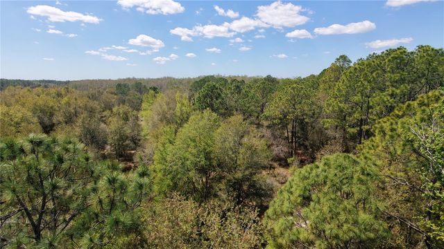 LOS ROBLES DRIVE, Groveland, FL 34736