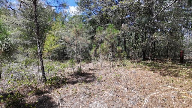 LOS ROBLES DRIVE, Groveland, FL 34736