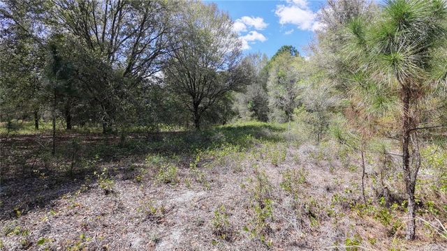 LOS ROBLES DRIVE, Groveland, FL 34736