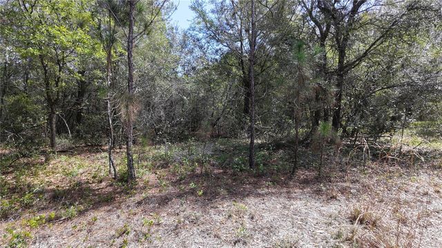 LOS ROBLES DRIVE, Groveland, FL 34736