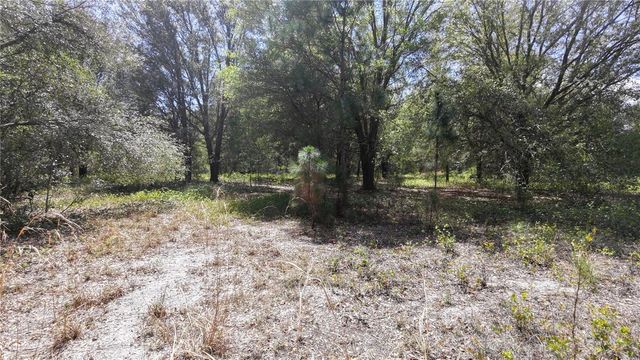 LOS ROBLES DRIVE, Groveland, FL 34736