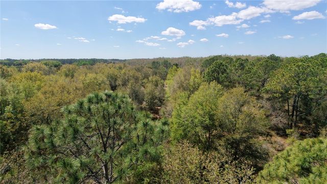 LOS ROBLES DRIVE, Groveland, FL 34736