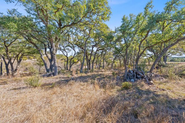 100 Dario DR, Dripping Springs, TX 78620