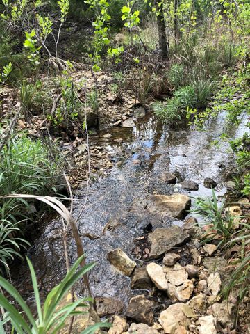 100 Dario DR, Dripping Springs, TX 78620