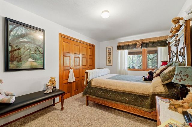 1125 Deerpath Road, Franktown, CO 80116