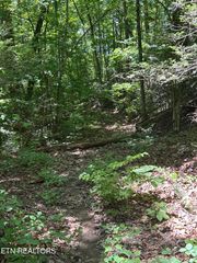 Lower Powdermill Rd, Sevierville, TN 37876
