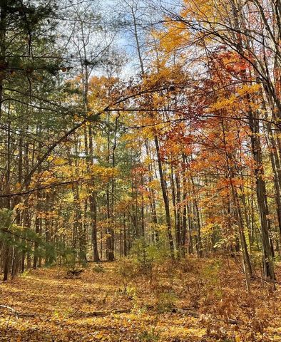 6114 Indian Lake Drive, Gladwin Twp, MI 48624