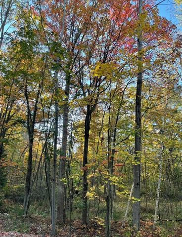 6114 Indian Lake Drive, Gladwin Twp, MI 48624