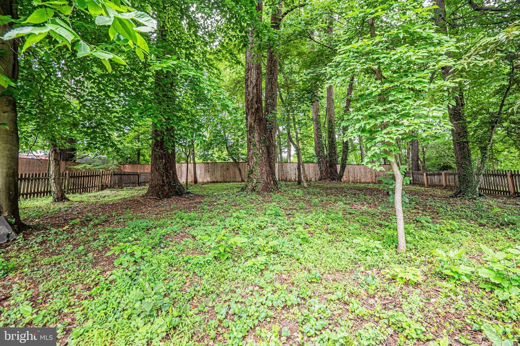 Image 37 of property listing at 3901 SPRUELL DR, Kensington, MD 20895