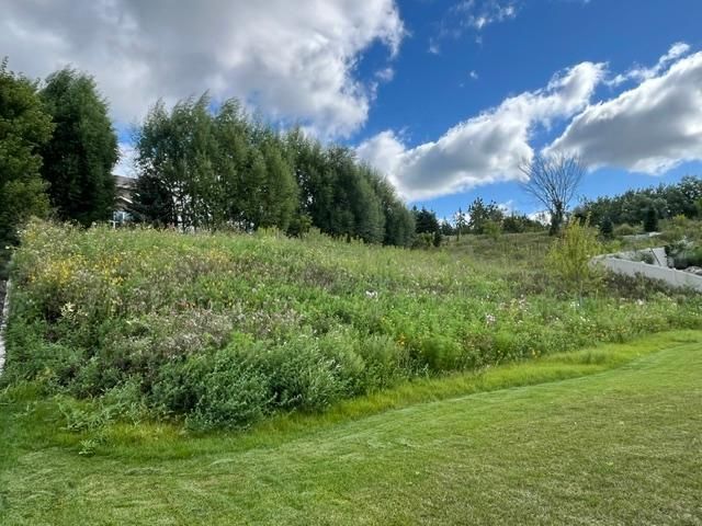 1106 Meadow Lane, Waconia, MN 55387