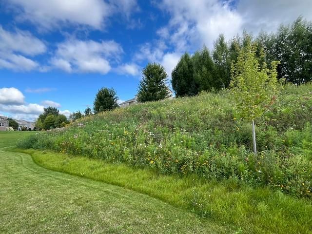 1106 Meadow Lane, Waconia, MN 55387