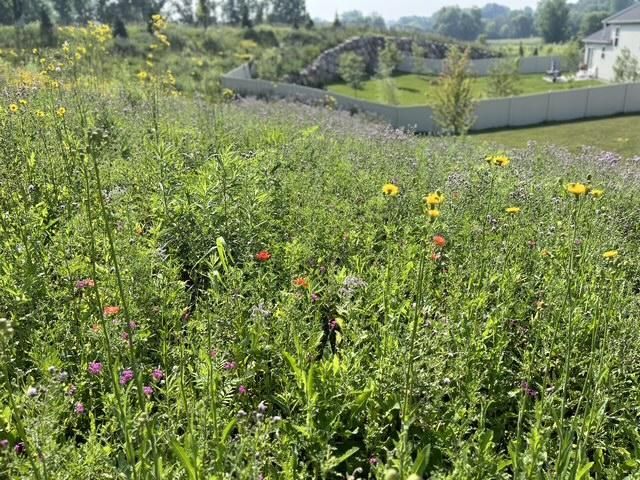 1106 Meadow Lane, Waconia, MN 55387