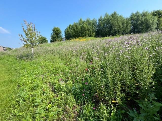 1106 Meadow Lane, Waconia, MN 55387