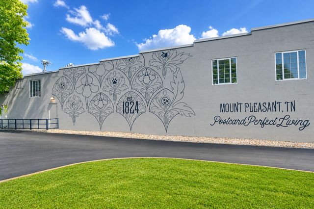 309 Wall St, Mount Pleasant, TN 38474