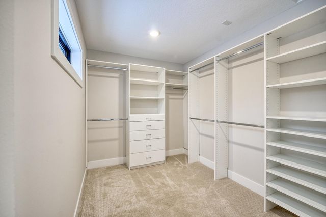 5875 Afton Road, Excelsior, MN 55331