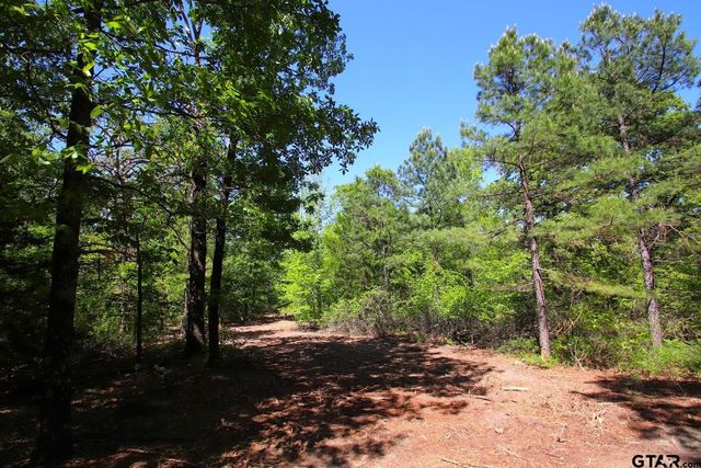 TBD CR 4552, Winnsboro, TX 75494