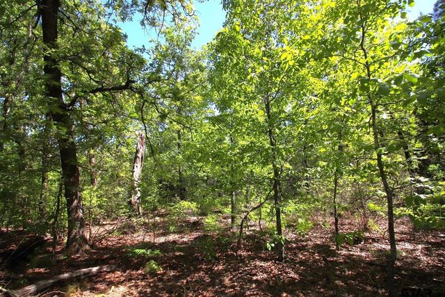 TBD CR 4552, Winnsboro, TX 75494