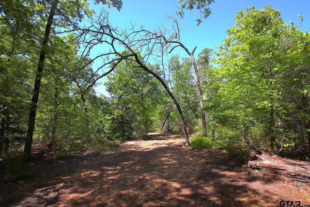 TBD CR 4552, Winnsboro, TX 75494