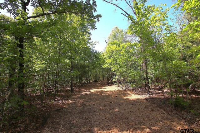 TBD CR 4552, Winnsboro, TX 75494