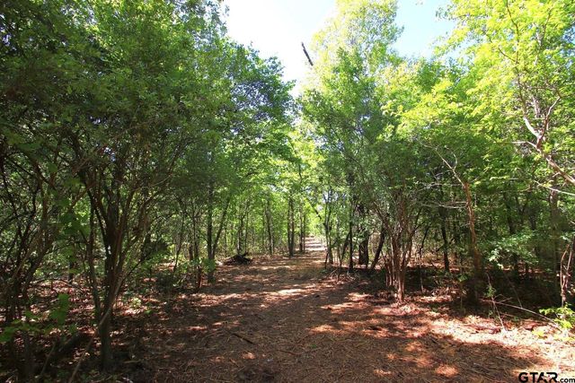 TBD CR 4552, Winnsboro, TX 75494