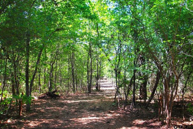 TBD CR 4552, Winnsboro, TX 75494
