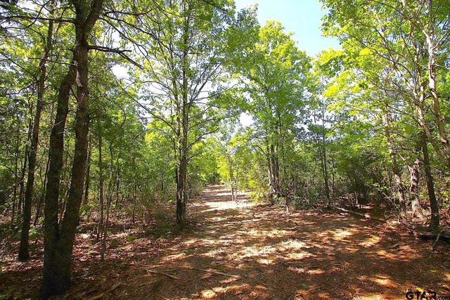 TBD CR 4552, Winnsboro, TX 75494