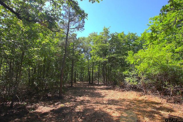 TBD CR 4552, Winnsboro, TX 75494