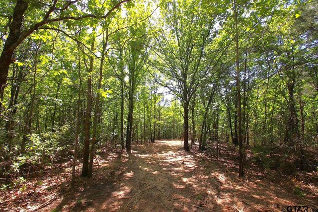 TBD CR 4552, Winnsboro, TX 75494
