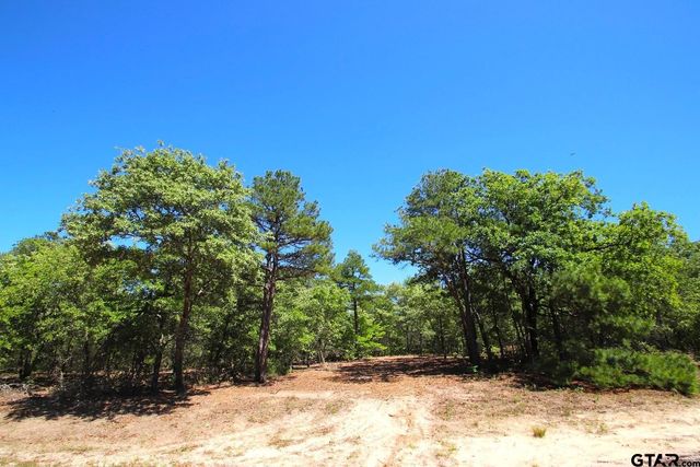 TBD CR 4552, Winnsboro, TX 75494