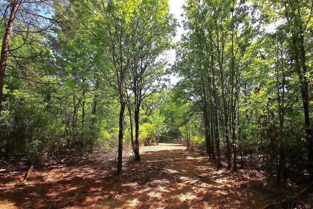 TBD CR 4552, Winnsboro, TX 75494