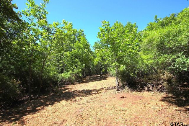TBD CR 4552, Winnsboro, TX 75494