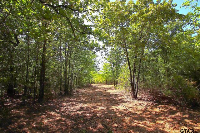 TBD CR 4552, Winnsboro, TX 75494