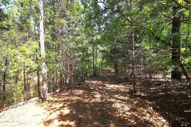 TBD CR 4552, Winnsboro, TX 75494